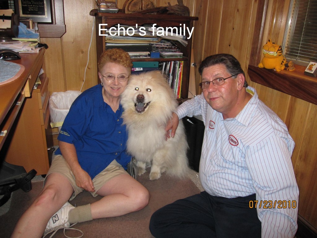 Echo_family
