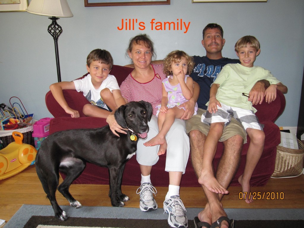 Jill_family