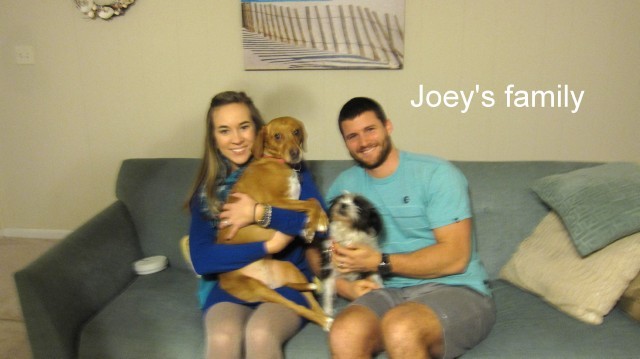 Joey_and_Family