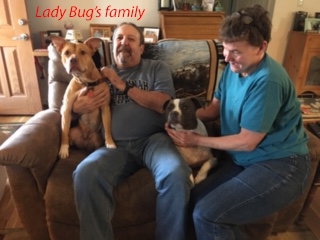 LadyBug_and_Family