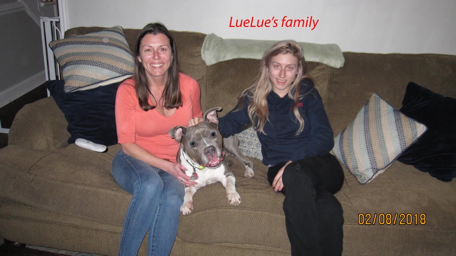 LueLue_and_Family