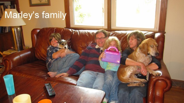 Marley_and_Family2013