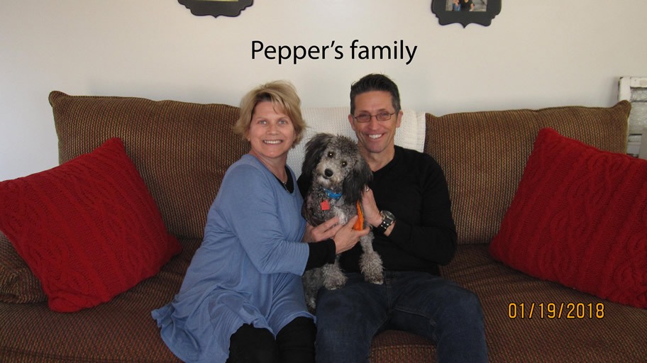 Peppers-family