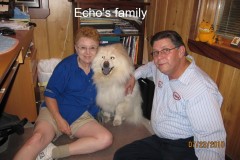 Echo_family