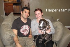 Harper_and_Family