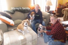 Marley_family